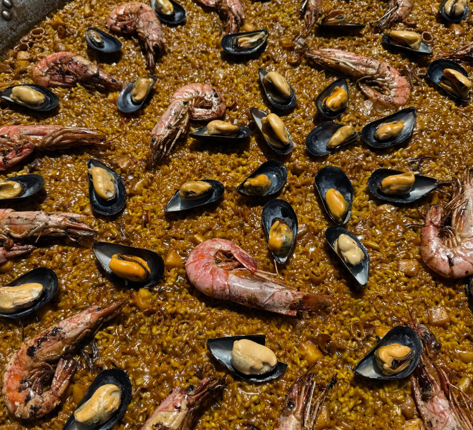 Seafood Paella – The Gourmet Paella Traditional Spanish seafood paella with rice, fresh shrimps, mussels, calamari, squid and a hint of smoky paprika – cooked to perfection